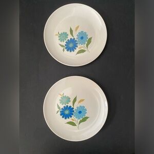 VINTAGE GENUINE AMERICAN IRONSTONE *Western Wildflower* Dinner Plates set of 2